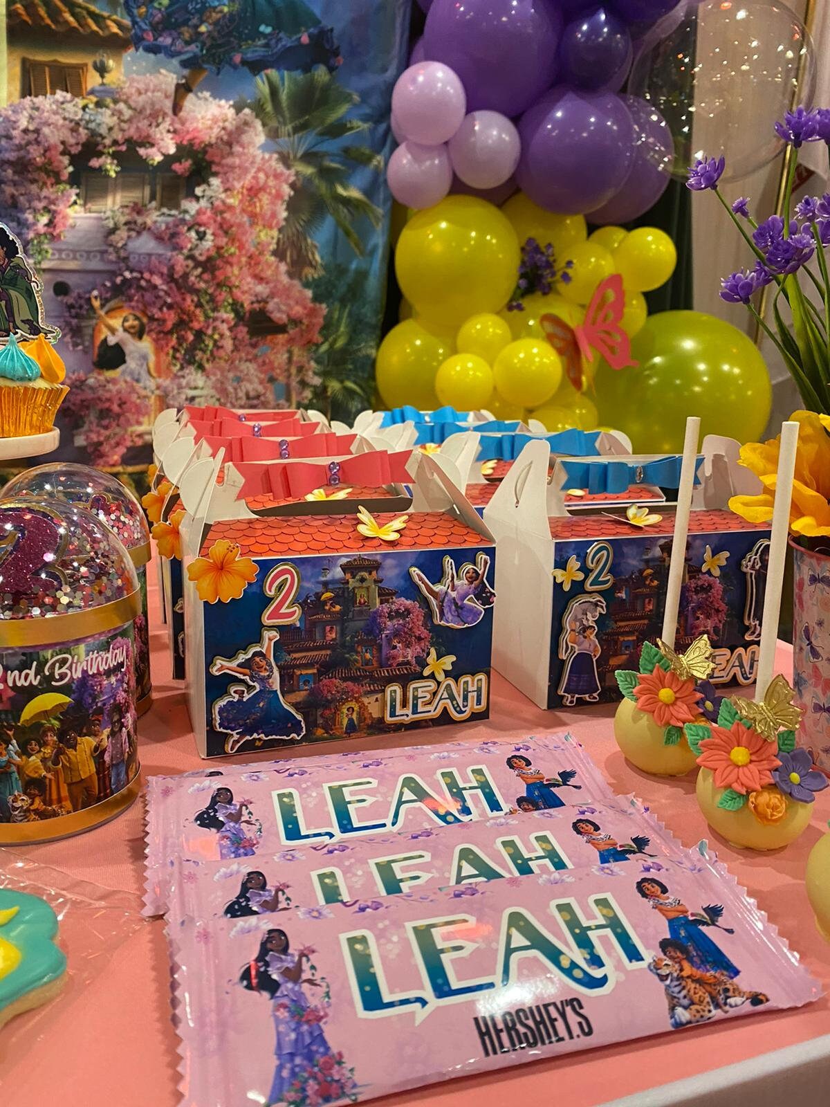 Encanto favor boxes, Encanto party, Encanto birthday, party decoration Encanto, Encanto box.